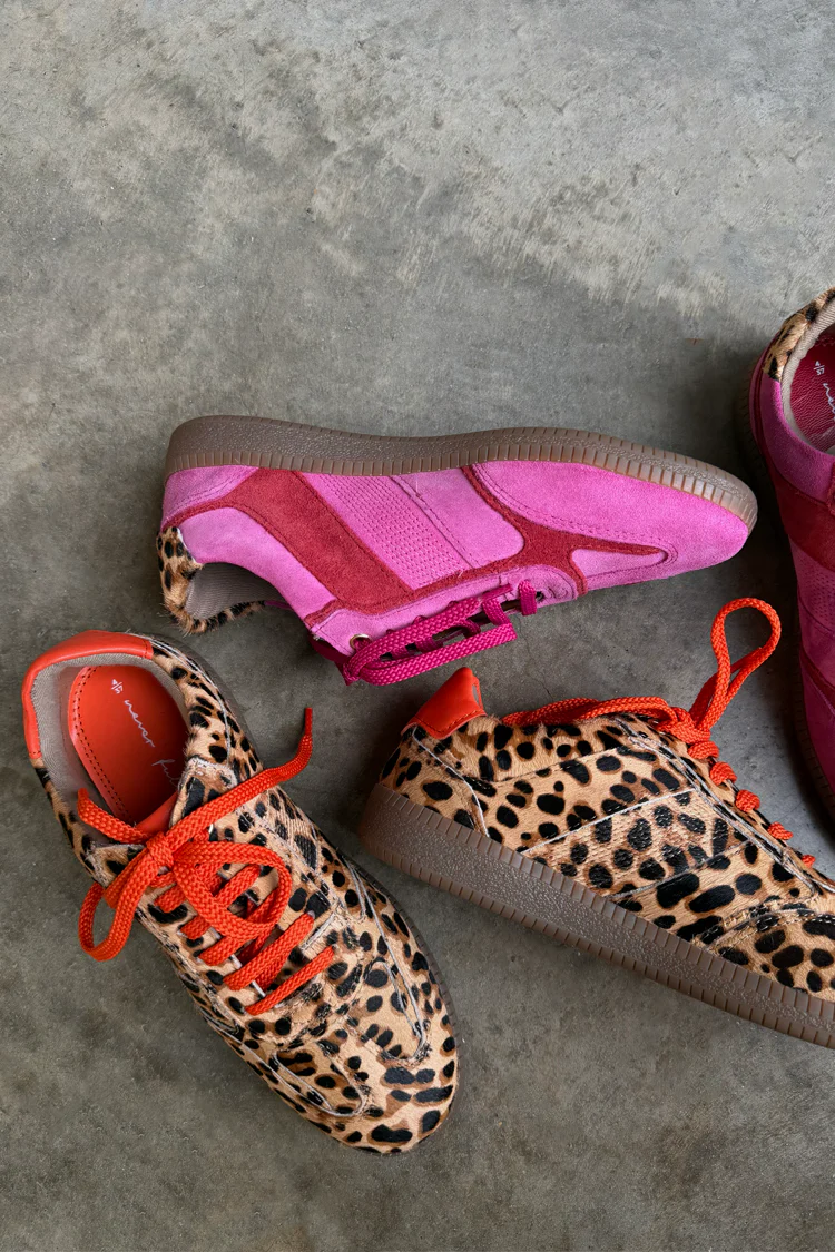 Leopard Pony Trainer - Image 10